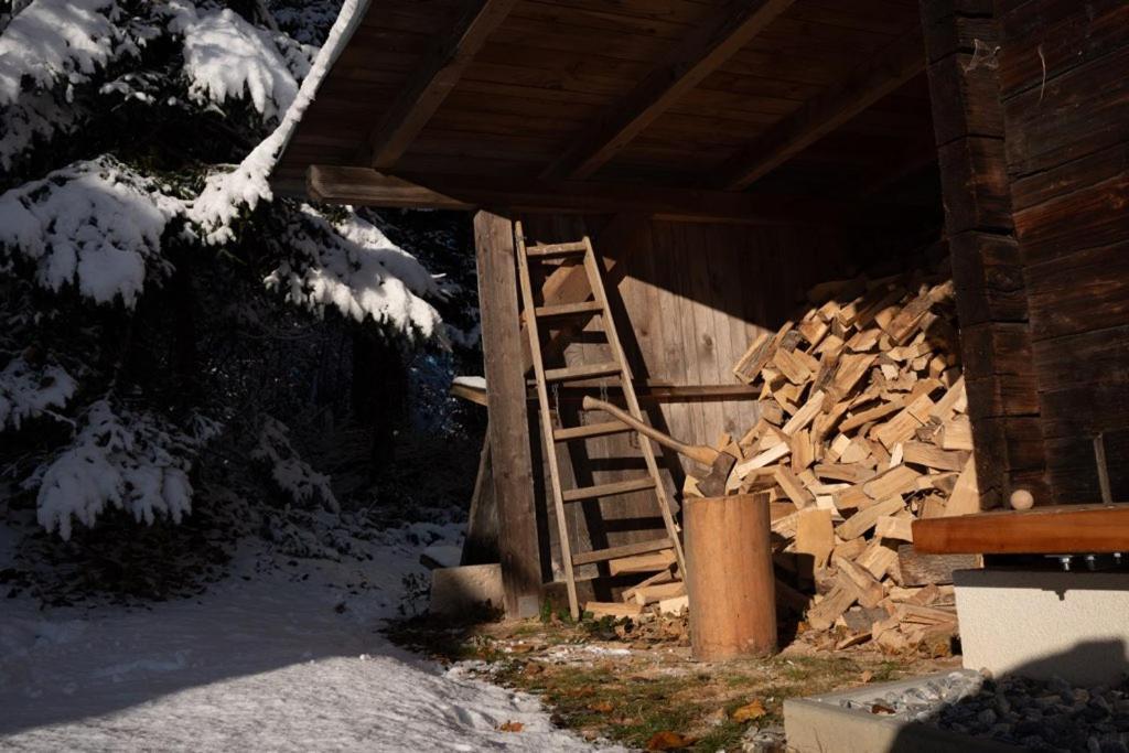 Gregor'S Ferienhaus Im Wald Edelschrott 外观 照片